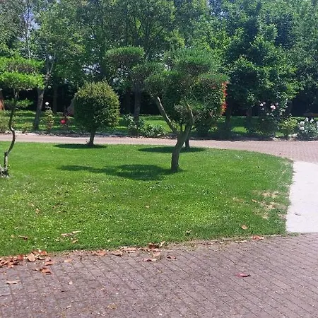 In Campagna San Vito (Rimini)