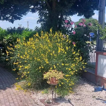 شقة In Campagna *